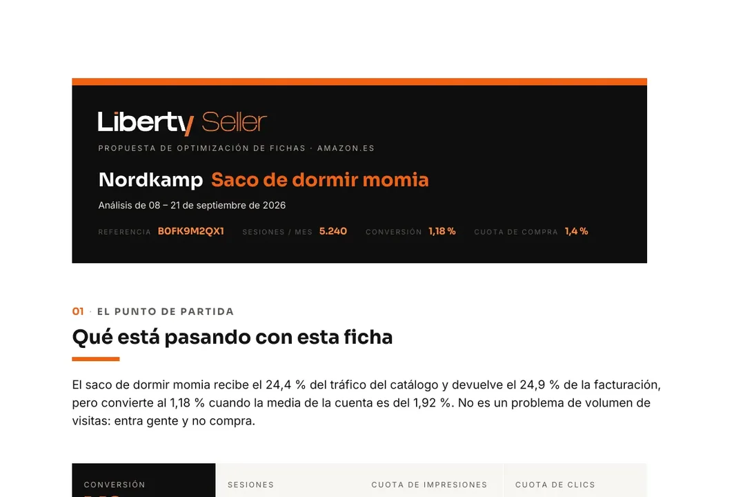 Portada de Auditoría SEO de ficha